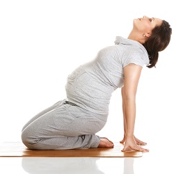 Your Pregnancy Fitness Guide: Intermediate/Advanced Version